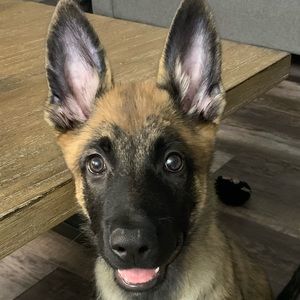 Meet your Posher, Melissa